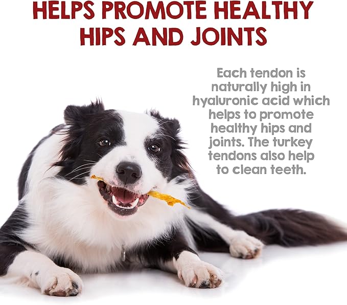Riley's Turkey Tendons for Dogs - Dehydrated Treats for Small & Large Breeds - Promotes Dental Health - Made in The USA - 12 oz