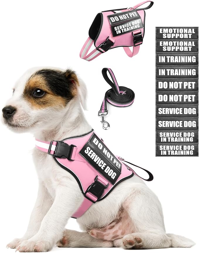 Service Dog Vest Harness and Leash Set+10 Patches for Puppy Small Dogs,Do Not Pet Emotional Support Dog Vest with 2 Soft Padded Handle for Everyday/Training (Pink XS)