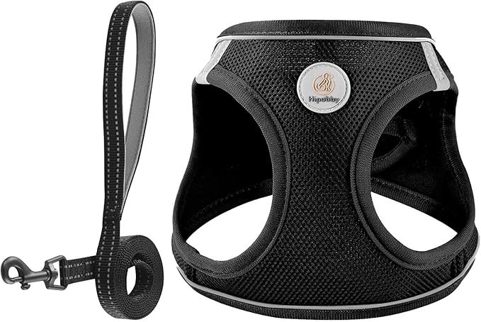 Dog Harness and Leash Set, No Pull Soft Mesh Puppy Harness for Small Medium Dogs, Cats - Step in Adjustable Reflective Pet Harness with Buckle and Double D-Rings - Black, XS