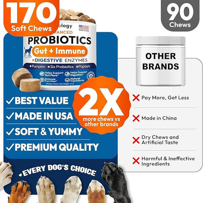 (2 Pack) Probiotics for Dogs - 340 Dog Probiotics Chews - Digestive Enzymes & Prebiotics - Support Gut Health, Diarrhea, Gas & Constipation Relief - Itchy Skin, Allergies - Advanced Supplement
