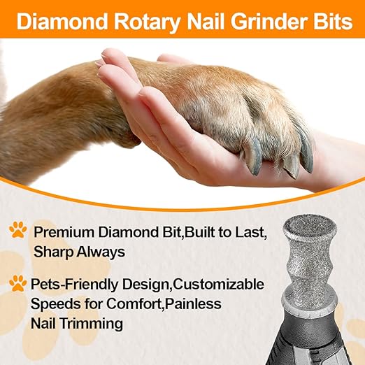 Diamond Rotary Pet Nail Grinder Replacement Heads Dog Nail Grinder Bit-BGTEC 5PCS 1/8" Diamond Replaceable Tip for Pet Claw Grooming(D)