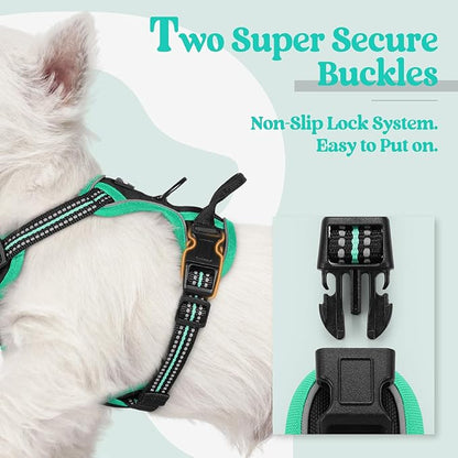 rabbitgoo Dog Harness No Pull with 2 Leash Clips, Adjustable Soft Padded, Reflective Oxford No Choke Pet Vest with Easy Control Handle for Puppy, Black & Turquoise, XS