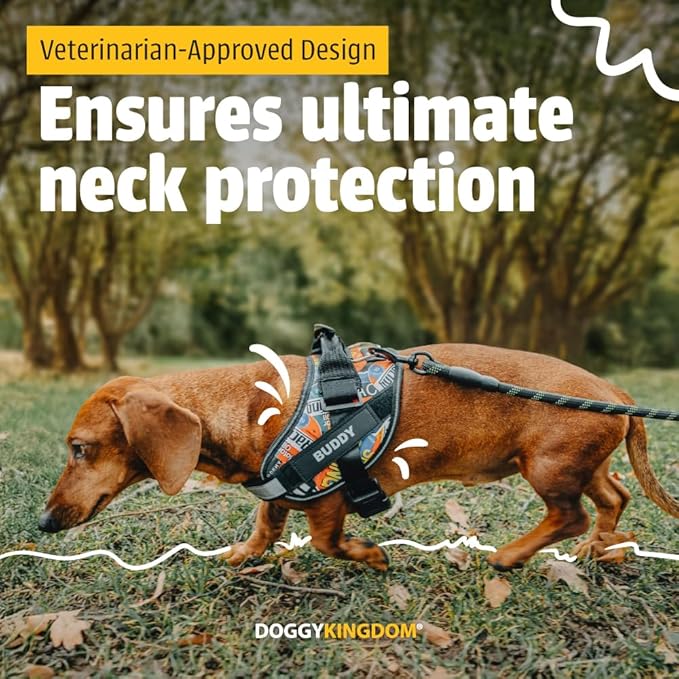 Personalized No-Pull Dog Harness with Name Patch, Adjustable, Reflective, Padded, Heavy Duty Pet Vest to Prevent Tugging, Pulling, or Choking, Training and Walking, Blue, S