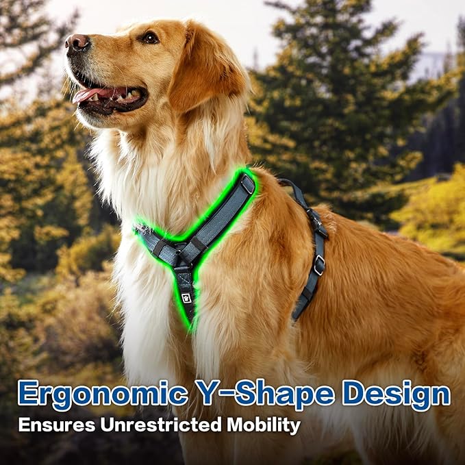 PawsPassion Dog Harness for Large Dogs, No Pull Dog Harness Easy Walk with Metal Hardware, Ergonomic Y-Shaped Design, Soft Padding, Padded Handle, Durable High-Tensile Nylon (Nightfall, L)