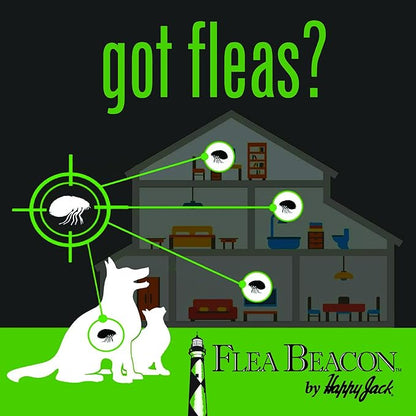 Happy Jack Flea Beacon Kill Fleas in House, Attracts, Traps Indoor Bugs, Breaks Breeding Cycle Before Adults Lay Eggs, Safe, Fast, & Clean Way to Get Rid of Indoor Pests, Made in USA