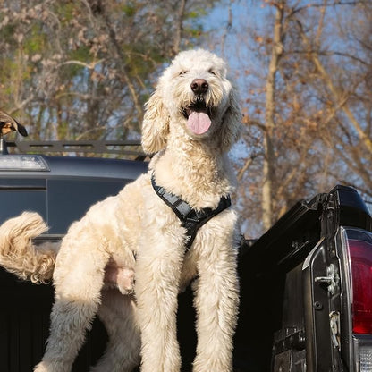 PawsPassion Dog Harness for Large Dogs, No Pull Dog Harness Easy Walk with Metal Hardware, Ergonomic Y-Shaped Design, Soft Padding, Padded Handle, Durable High-Tensile Nylon (Nightfall, L)