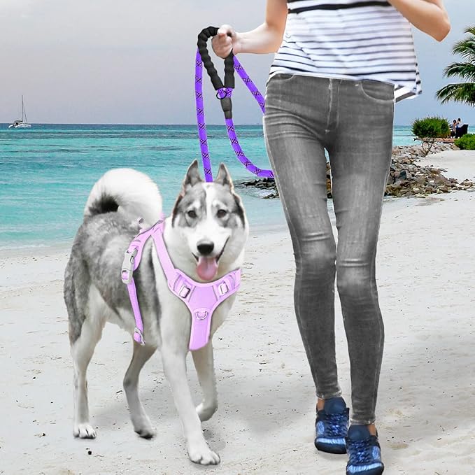 BARKBAY No Pull Dog Harness Large Reflective Dog Harness with Front Clip and Easy Control Handle for Walking Training Running with ID tag Pocket(Violet Purple,L)