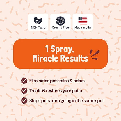 Sunny & Honey Turf Cleaner For Pet Urine Outdoor - Kid & Pet Safe - Artificial Grass Dog Urine Cleaner - Long Lasting Scent - Artificial Grass Cleaner - All Outdoor Surfaces - Orange, 32oz