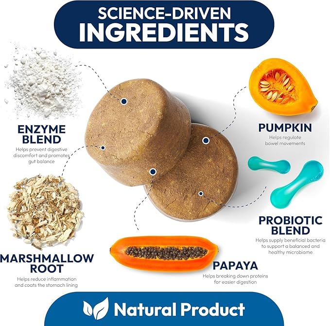 (2 Pack) Probiotics for Dogs - 340 Dog Probiotics Chews - Digestive Enzymes & Prebiotics - Support Gut Health, Diarrhea, Gas & Constipation Relief - Itchy Skin, Allergies - Advanced Supplement