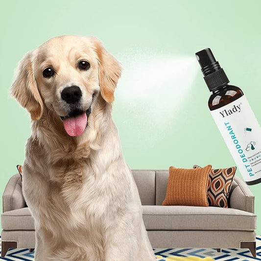 Dog Deodorizing Spray, 100ml Dog Perfume Spray Long Lasting Pet Body Spray Odor Eliminator Cat Deodorizer Spray, Pets Deodorant for Smelly Dogs Fur Skin Clean Fresh (100ml/3.42oz)