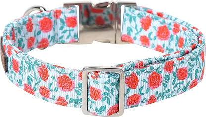 Lionet Paws Dog Collar, Comfortable Adjustable Cute Collar with Metal Buckle for Male Female Dogs Gift, Rose, Small, Neck 10-16 inches
