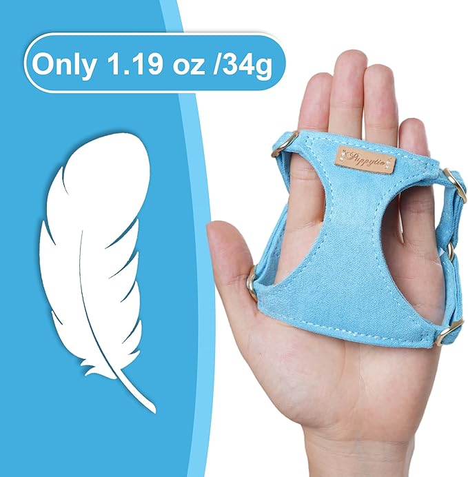 Puppytie No Pull Small Dog Harness with Multifunction Dog Leash,Lightweight Soft Adjustable No Choke Escape Proof Pet Harness Vest Pet Harness Vest,Ocean Blue,S