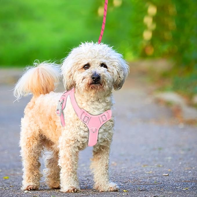 BARKBAY No Pull Dog Harness Large Reflective Dog Harness with Front Clip and Easy Control Handle for Walking Training Running with ID tag Pocket(Baby Pink,XS)