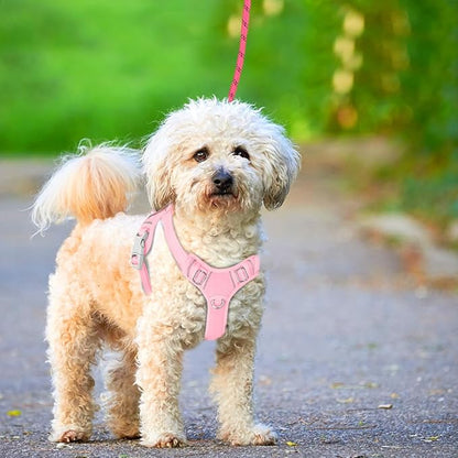 BARKBAY No Pull Dog Harness Large Reflective Dog Harness with Front Clip and Easy Control Handle for Walking Training Running with ID tag Pocket(Baby Pink,XS)