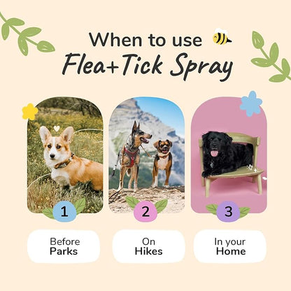 kin+kind Plant Based Flea and Tick Spray for Dogs and Cats – Essential Oil Formula with Lemongrass – Flea and Tick Prevention for Cats, Kittens, Puppies & Dogs - Pet Supplies - Family Safe – 12 fl oz