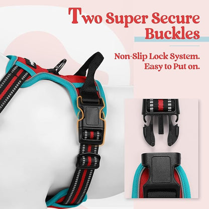 rabbitgoo Dog Harness No Pull with 2 Leash Clips, Adjustable Soft Padded, Reflective Oxford No Choke Pet Vest with Easy Control Handle for Small Dogs, Red & Teal, S