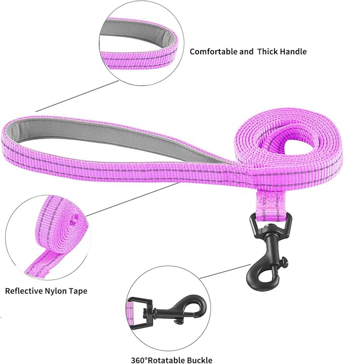 Dog Harness and Leash Set, No Pull Soft Mesh Puppy Harness for Small Medium Dogs, Cats - Step in Reflective Breathable Lightweight Vest Harness for Walking, Training - Purple, S