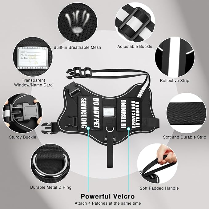 Service Dog Vest Harness and Leash Set+10 Patches,No Pull&Easy Walk Reflective Dog Harness with Soft Padded Handle for Training/Everyday,Fit Small/Medium/Large/Extra-Large Dogs (Black L)
