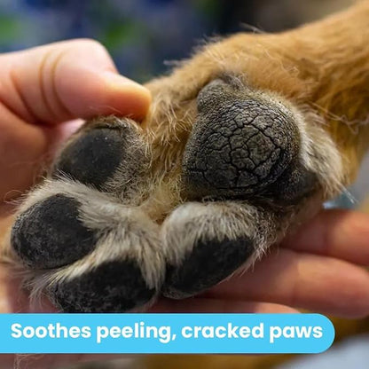 Pawtitas Paw Balm for Dogs Certified Organic Ingredients Moisturizer for Cracked, Burn Pads, Paw Balm Travel Size Stick 0.15 oz / 4.5 ml