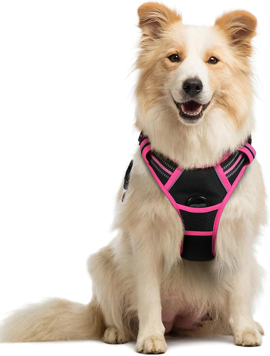 rabbitgoo Dog Harness No Pull with 2 Leash Clips, Adjustable Soft Padded, Reflective Oxford No Choke Pet Vest with Easy Control Handle for Large Dogs, Black & Hot Pink, M