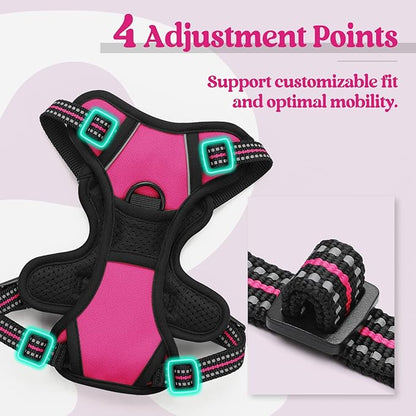 rabbitgoo Dog Harness No Pull with 2 Leash Clips, Adjustable Soft Padded, Reflective Oxford No Choke Pet Vest with Easy Control Handle for Puppy, Hot Pink, XS