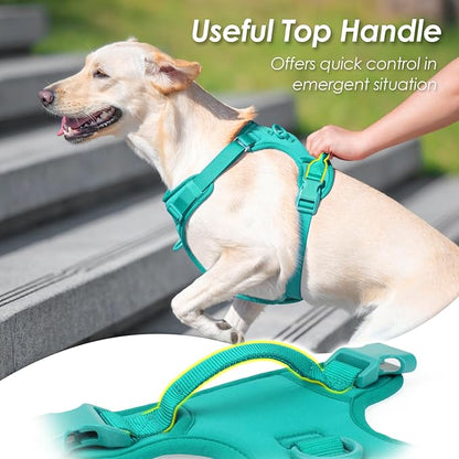 No Pull Dog Harness, Puppy Vest with Front Clip for Small Medium Large Sized Dog(MARRS Green,M)