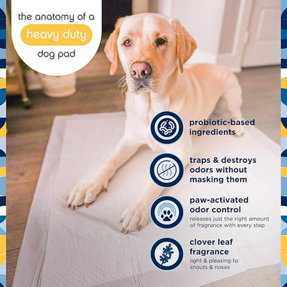 Pet Life Unlimited Heavy Duty Triple Extra Large Puppy Pads – 36" x 36", 50 Count (3XL) | Dog Training Pads with Odor Controlling Wetness-Activated Clover Leaf Scent | USA Made