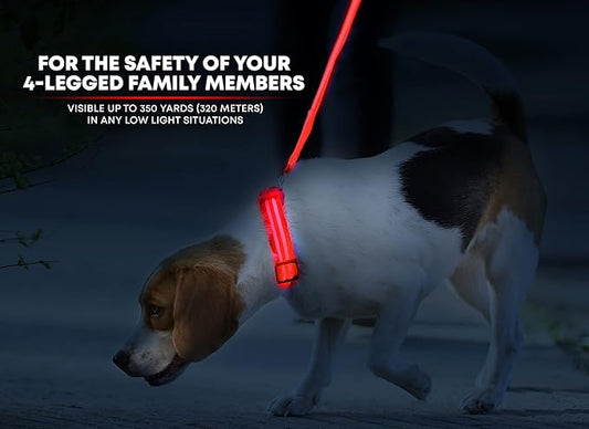 ILLUMISEEN LED Dog Collar USB Rechargeable - Bright & High Visibility Lighted Glow Collar for Pet Night Walking - Weatherproof, in 6 Colors & 6 Sizes (Red Large)