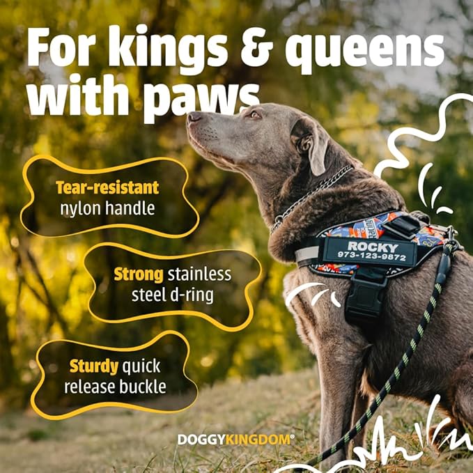 Personalized No-Pull Dog Harness with Name Patch, Adjustable, Reflective, Padded, Heavy Duty Pet Vest to Prevent Tugging, Pulling, or Choking, Training and Walking, Pink, XS