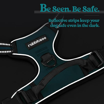 rabbitgoo Dog Harness No Pull with 2 Leash Clips, Adjustable Soft Padded, Reflective Oxford No Choke Pet Vest with Easy Control Handle for Large Dogs, Blue Coral, XL