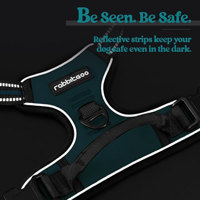 rabbitgoo Dog Harness No Pull with 2 Leash Clips, Adjustable Soft Padded, Reflective Oxford No Choke Pet Vest with Easy Control Handle for Large Dogs, Blue Coral, L