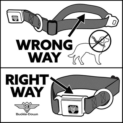 Buckle-Down Seatbelt Buckle Dog Collar - Wonder Woman Logo Red - 1.5" Wide - Fits 13-18" Neck - Small