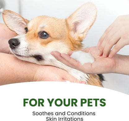 Dog Shampoo – Cleansing Wash, Conditioning, Moisturizing – Healthy Ingredients – Aromatic Grooming Puppy Shampoo – Tearless Cleaner, Rosemary Tea Tree