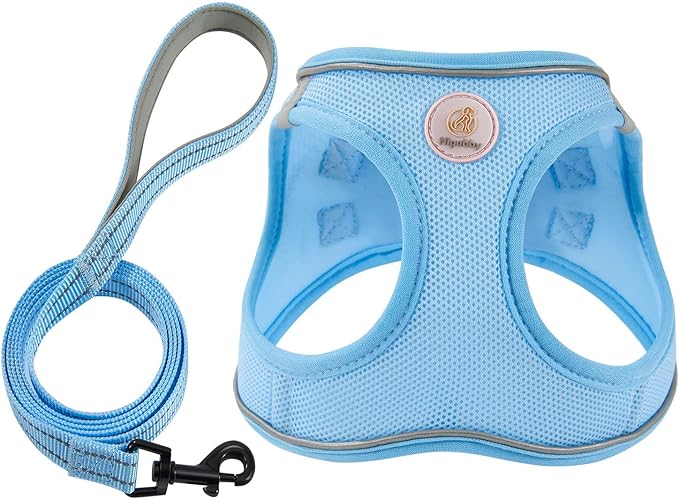 Dog Harness and Leash Set, No Pull Soft Mesh Puppy Harness for Small Medium Dogs, Cats - Step in Reflective Breathable Lightweight Vest Harness for Walking, Training - Blue, L