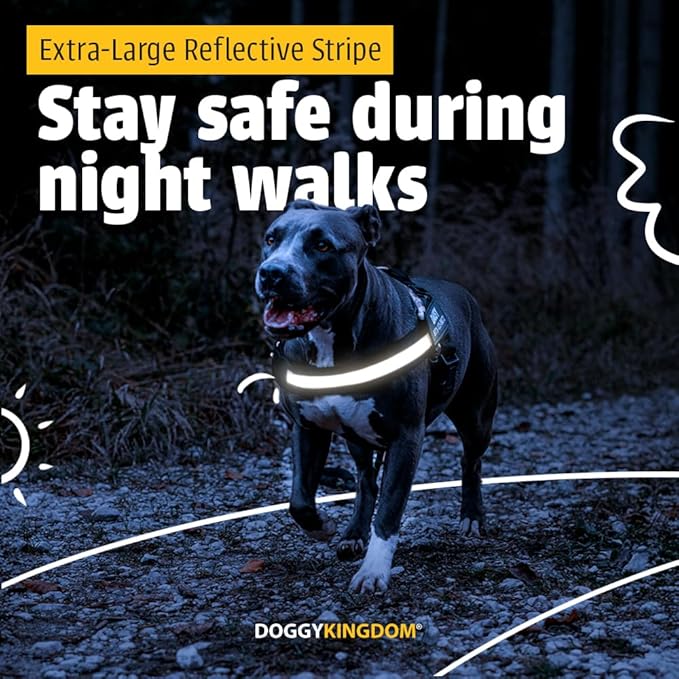 Personalized No-Pull Dog Harness with Name Patch, Adjustable, Reflective, Padded, Heavy Duty Pet Vest to Prevent Tugging, Pulling, or Choking, Training and Walking, US Flag, S