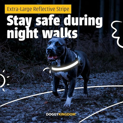 Personalized No-Pull Dog Harness with Name Patch, Adjustable, Reflective, Padded, Heavy Duty Pet Vest to Prevent Tugging, Pulling, or Choking, Training and Walking, Purple, L