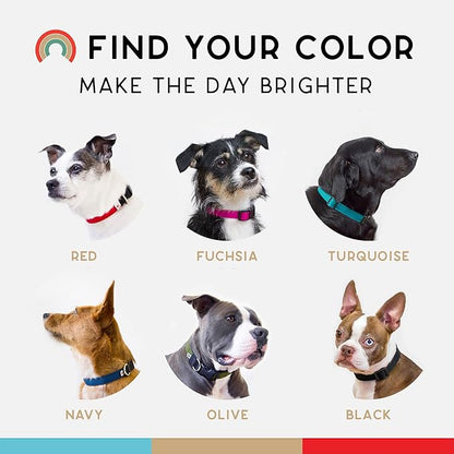 Dog Collar, Lightweight, Heavy Duty Dog Collar with Buckle, Fabric Pet Collar, Breathable & Adjustable Puppy Collar, Dog Collar for Large Dogs (Turquoise, Large - 14-24 Inch) - Wildebeest