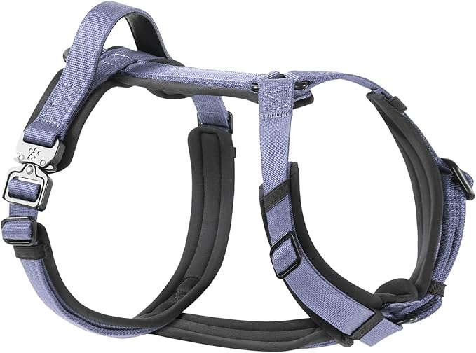 PawsPassion Dog Harness for Large Dogs, No Pull Dog Harness Easy Walk with Metal Hardware, Ergonomic Y-Shaped Design, Soft Padding, Padded Handle, Durable High-Tensile Nylon (Lilac Breeze, L)