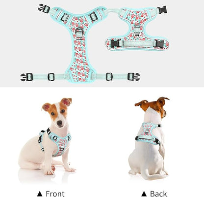 Timos Dog Harness, 3 Snap Buckles No-Pull Soft Padded Dog Vest with 2 Metal Leash Clips,Adjustable Reflective No Choke Pet Harness with Easy Control Handle for Small Dogs,Cyan,S