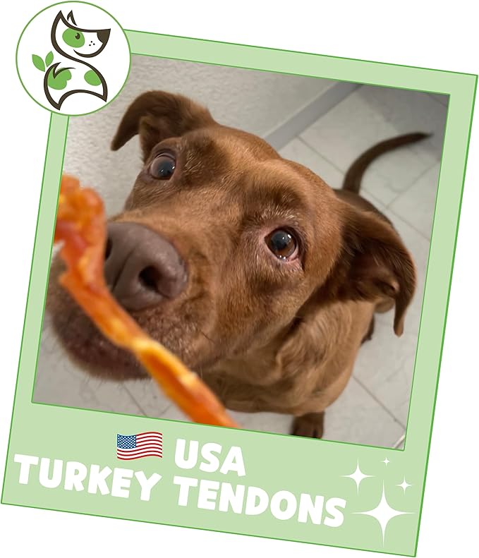 Nature Gnaws USA Turkey Tendons for Dogs (1Lb) - Delicious Grain Free Reward Snack for Small, Medium & Large Breeds - Premium Natural Dog Chew Treats