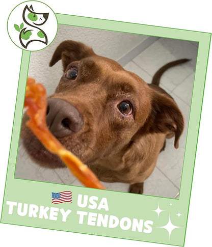 Nature Gnaws USA Turkey Tendons for Dogs (4oz) - Delicious Grain Free Reward Snack for Small, Medium & Large Breeds - Premium Natural Dog Chew Treats