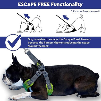 Gooby Escape Free Easy Fit Harness - Blue, Small - No Pull Step-in Patented Dog Harness with Quick Release Buckle for Small to Medium Dogs