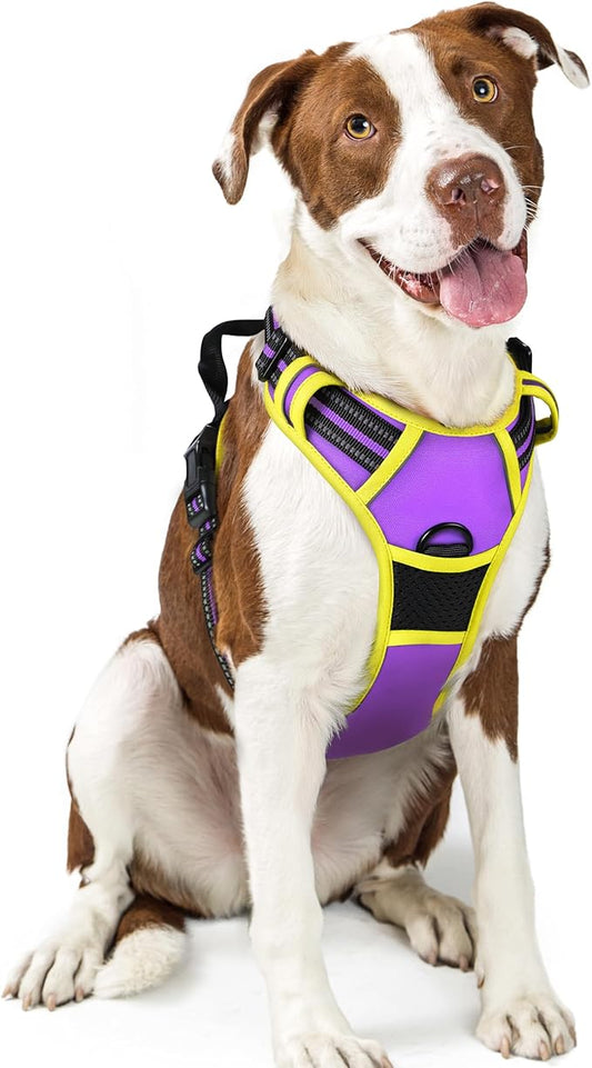 rabbitgoo Dog Harness No Pull with 2 Leash Clips, Adjustable Soft Padded, Reflective Oxford No Choke Pet Vest with Easy Control Handle for Large Dogs, Purple & Yellow, L