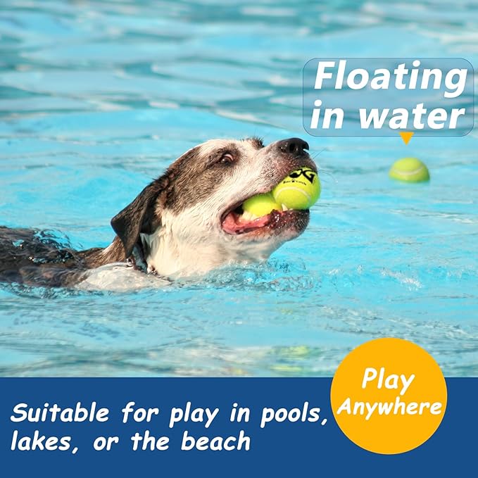 Tennis Ball for Dog Pack of 50 Colorful Easy Catching Pet Dog Ball (2.5inch-4colors)