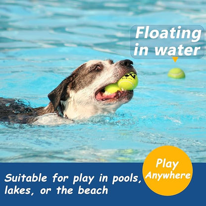 Tennis Ball for Dog Pack of 50 Colorful Easy Catching Pet Dog Ball (2.5inch-4colors)