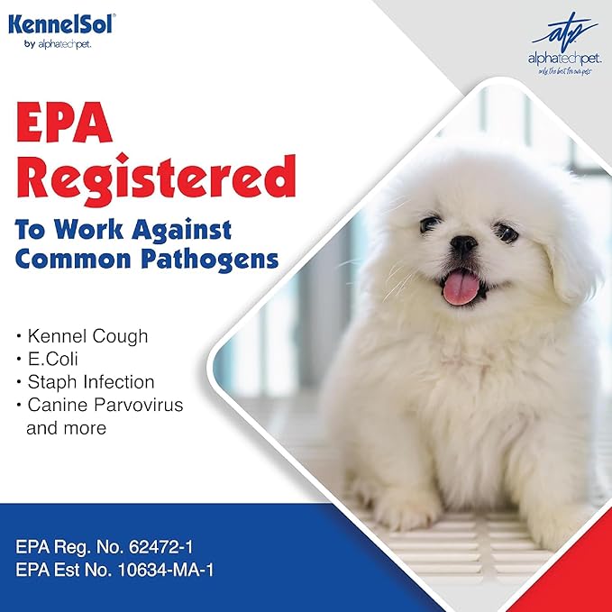 KennelSol 1-Step Kennel Cleaner - EPA Registered Liquid Concentrate Disinfectant and Deodorizer, Effective Against Bacteria and Viruses - 5 Gallons by Alpha Tech Pet