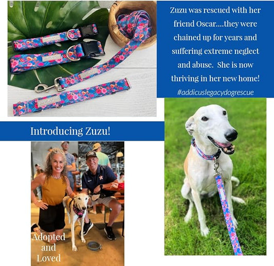 Lucky Love Dog Wide Dog Collar - Adjustable, Durable, Soft Webbing, & Comfortable 1.5 inch Wide Collar for Dogs Male and Female - in Zuzu Pattern with Strong Buckle, Medium Size