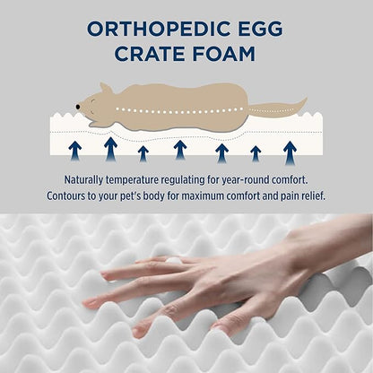 Bedsure Orthopedic Dog Bed for Medium Dogs - Supportive Egg Foam Dog Sofa, Bolster Couch Pet Bed with Removable Waterproof Washable Cover, Comfy Plush Velvet Fluff Surface, Nonskid Bottom, Charcoal