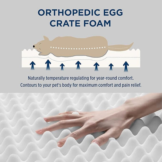 Bedsure Orthopedic Dog Bed for Medium Dogs - Supportive Egg Foam Dog Sofa, Bolster Couch Pet Bed with Removable Waterproof Washable Cover, Comfy Plush Velvet Fluff Surface, Nonskid Bottom, Charcoal