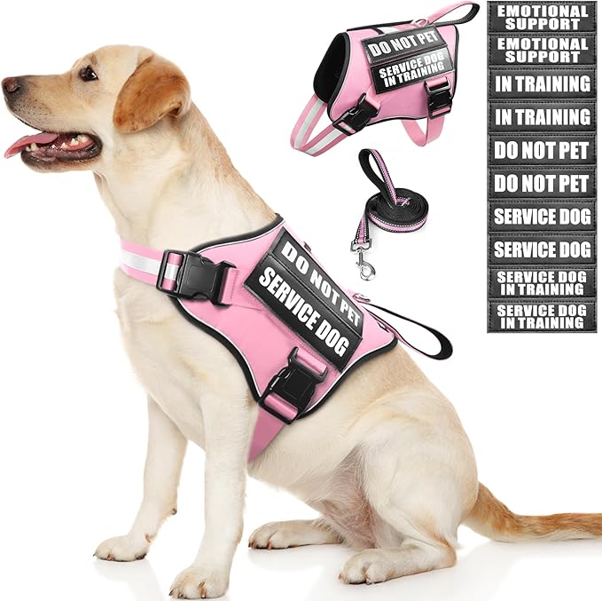 Service Dog Vest Harness and Leash Set+10 Patches,No Pull&Easy Walk Reflective Dog Harness with Soft Padded Handle for Training/Everyday,Fit Small/Medium/Large/Extra-Large Dogs(Pink M)